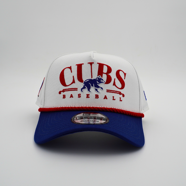 Chicago Cubs X DePaul 9Forty Adjustable Cap by New Era Caps NEW ERA CAP COMPANY INC